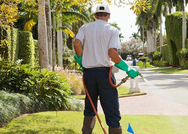About Scotts Mills OR Pest Control Pros